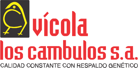 2-cambulos