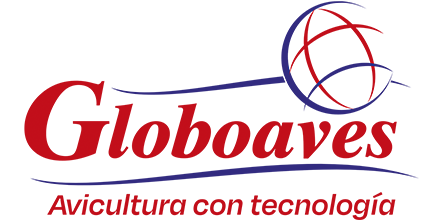 7-globoaves