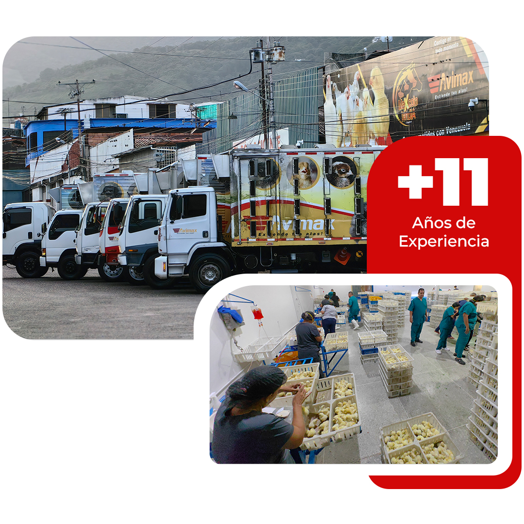 imagen bg1 imagen bg1