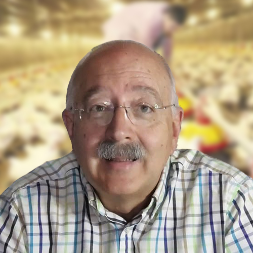 perfil-1 perfil-1